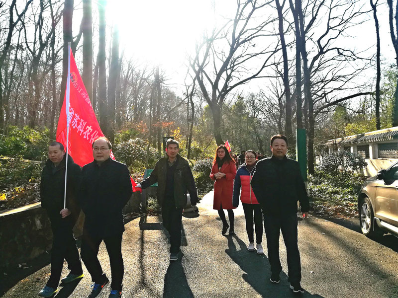 庆元旦  迎新年